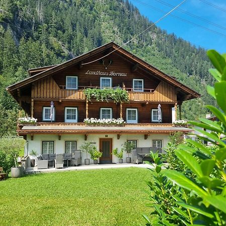 Landhaus Dornau Apartments Майрхофен Экстерьер фото