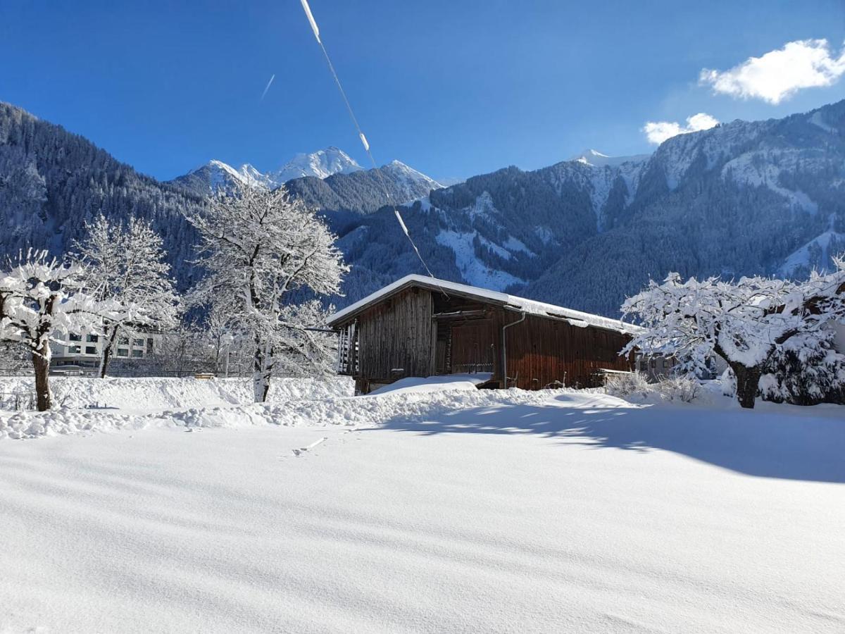 Landhaus Dornau Apartments Майрхофен Экстерьер фото