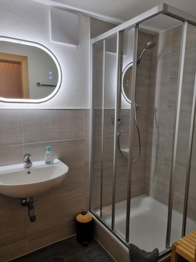 Landhaus Dornau Apartments Майрхофен Экстерьер фото